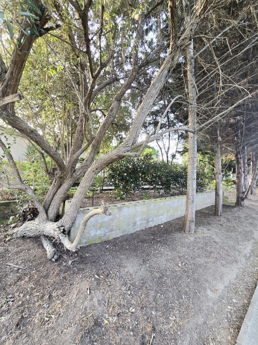 3 Bedroom Property for Sale in Wilderness Central Western Cape